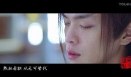 金瓶双艳完整版在线播放观看,激情演绎，经典再现